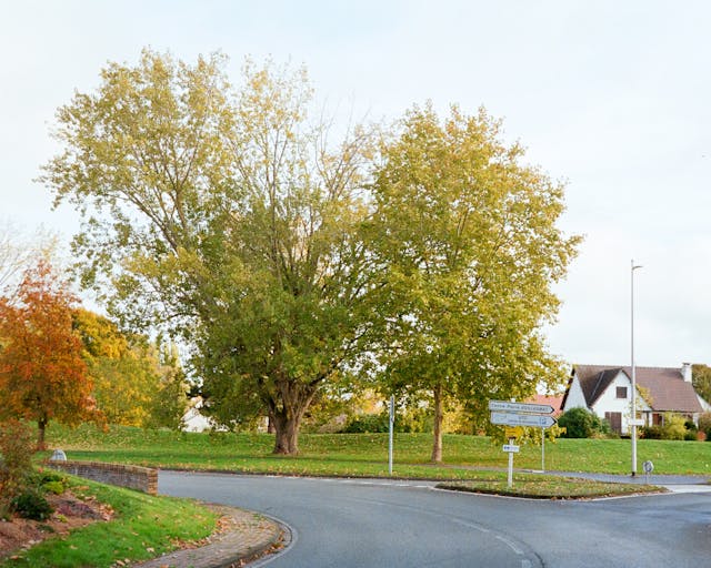 scenic roundabout in autumn 